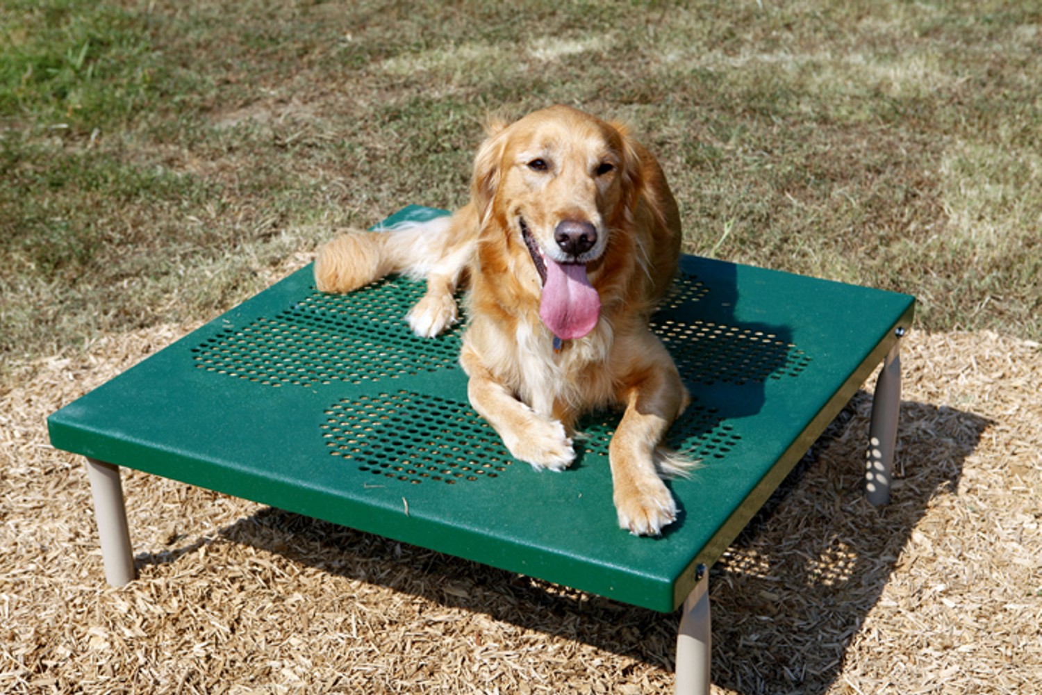 Paws Table | Dog Parks | American Parks Company