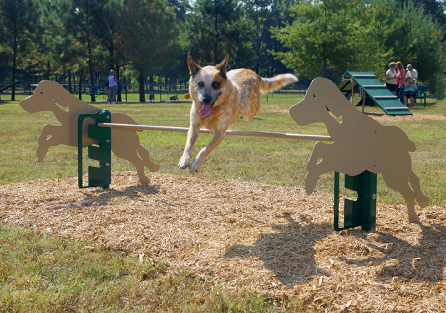 Rover Jump Over - Dog Park Equipment - American Parks Company