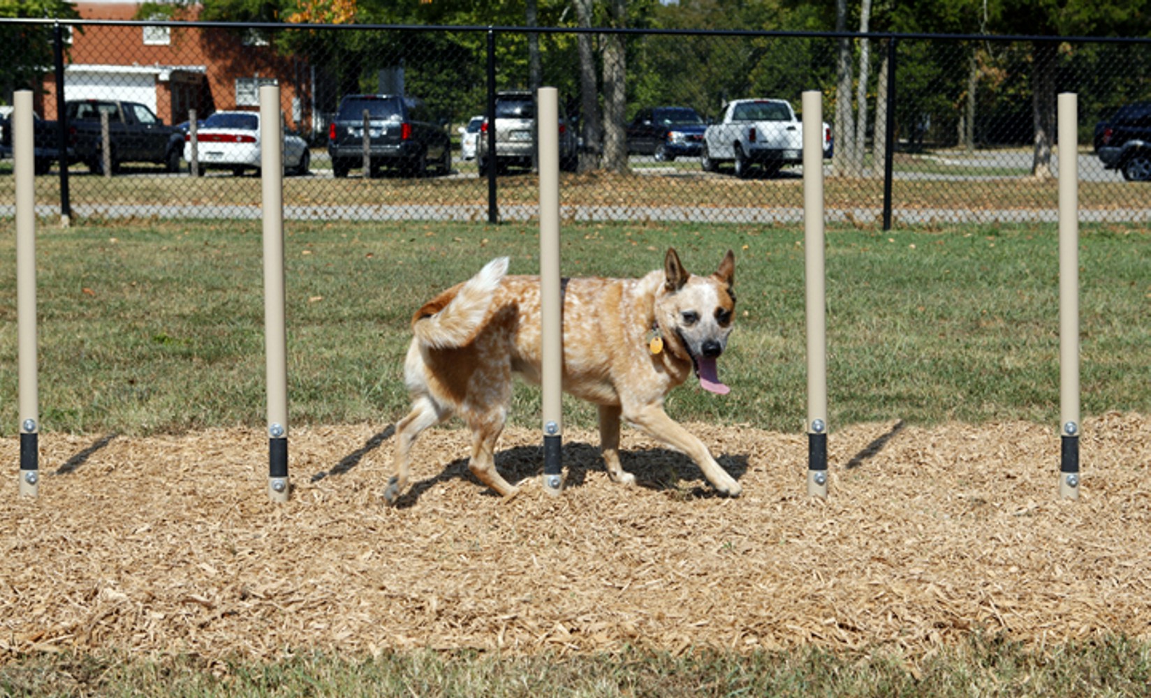 Weave Posts - Dog Park Equipment - American Parks Company