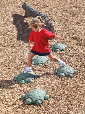Stepping Turtles