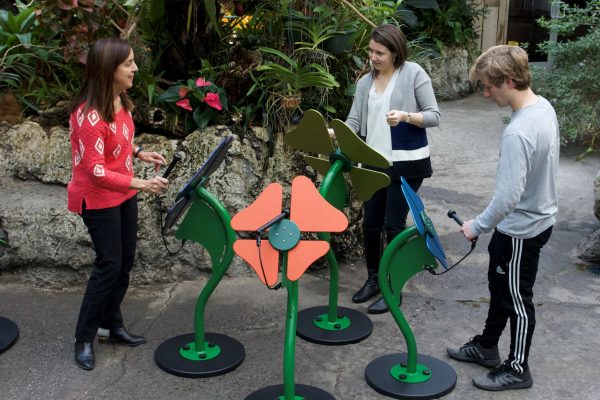 Freenotes Flowers - American Parks Company - Freestanding Musical Equipment