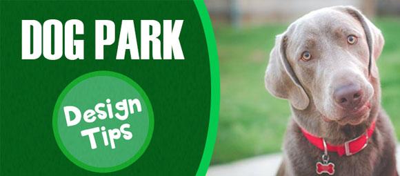 How to Build a Fun Dog Park In Your Community