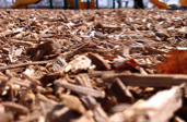 close-up photo of wood fiber